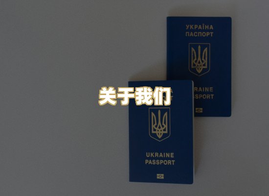 关于我们